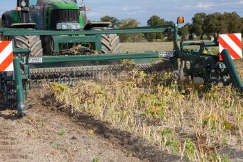 Cortadora de Frijol Pickett